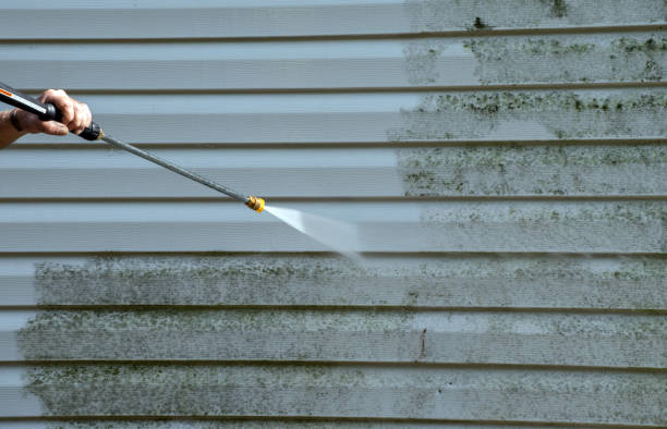 Best Attic Mold Removal  in Stigler, OK