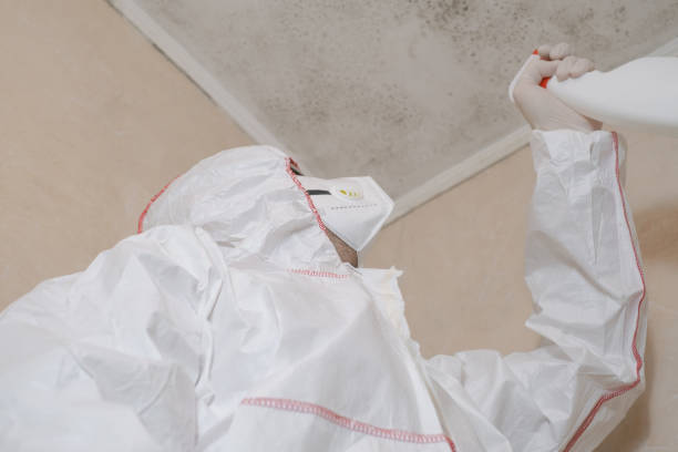 Best Emergency Mold Removal  in Stigler, OK